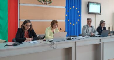 Кметът на Казанлък Галина Стоянова с въпроси към институциите: Какви мерки ще вземат след събитието на пазара